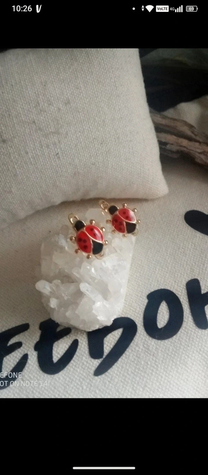 Boucles d'oreilles coccinelle 🐞.